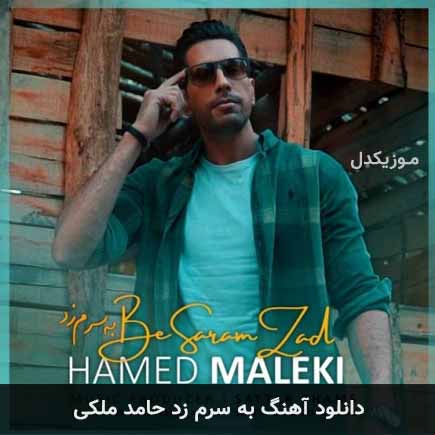 دانلود اهنگ به سرم زد حامد مالکی